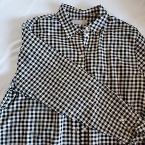 Everlane gingham buttondown